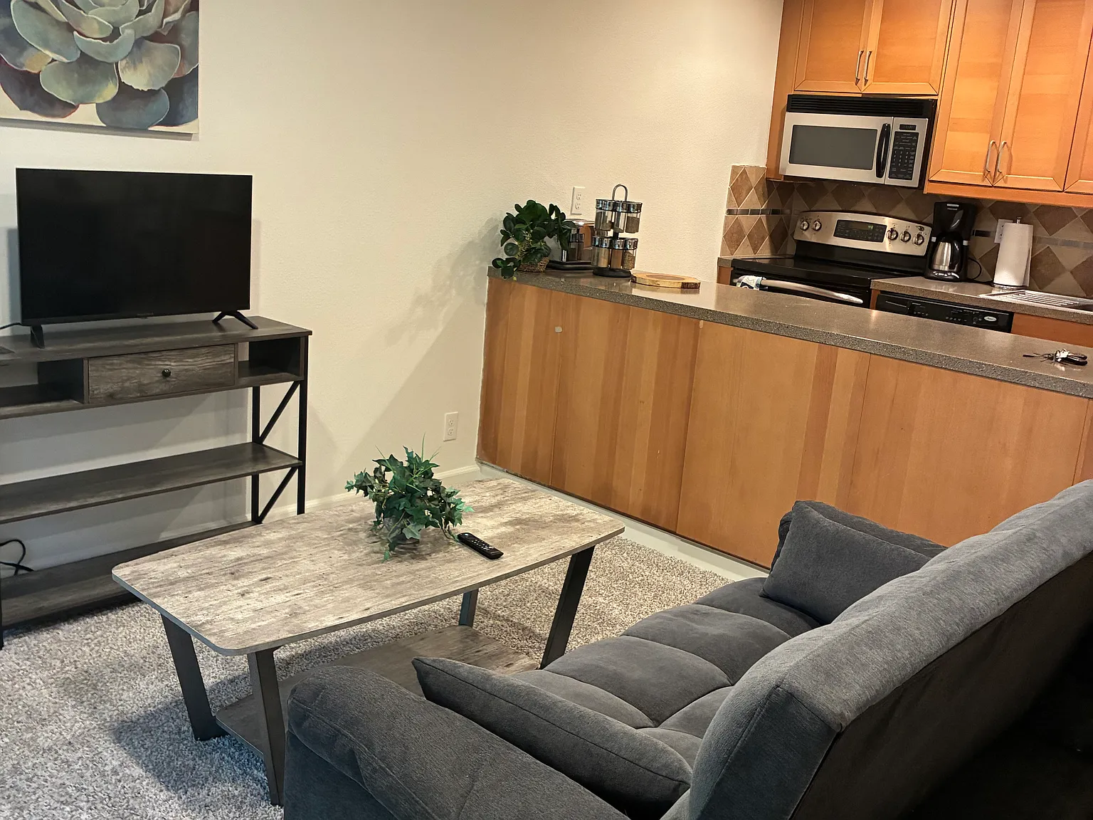 1 bed, 617 sqft, $3,000 — Photo 2