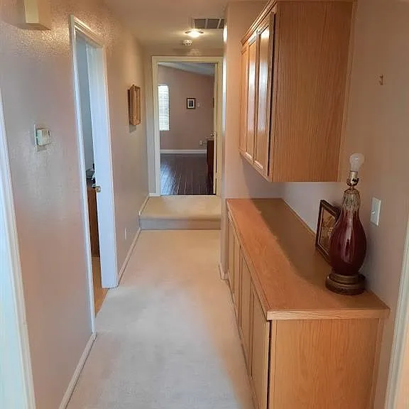 10106 Diving Duck Ave — Photo 17