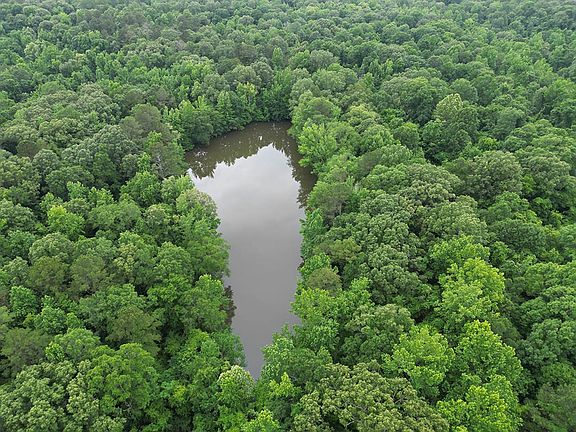 2nd image of 214 Gessler Rd