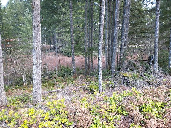 5th image of 0 Wye Lake Blvd SW
