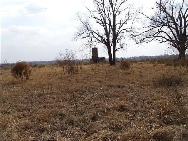 2nd image of 5636 Wilbur West Rd