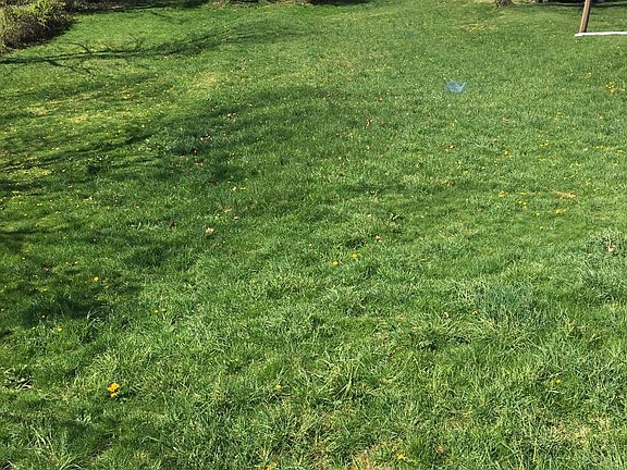 Large flat grassy back yard