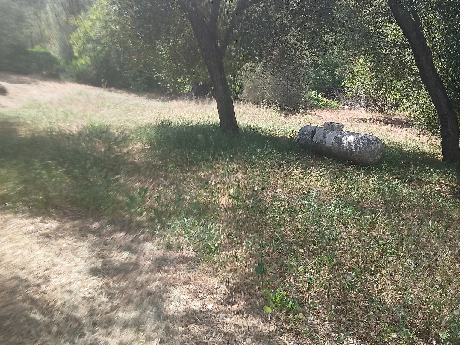 Hidden Glen Rd, Alpine — Photo 3
