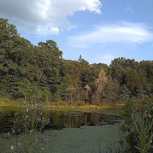 2nd image of 2945 State Road F Lot 7