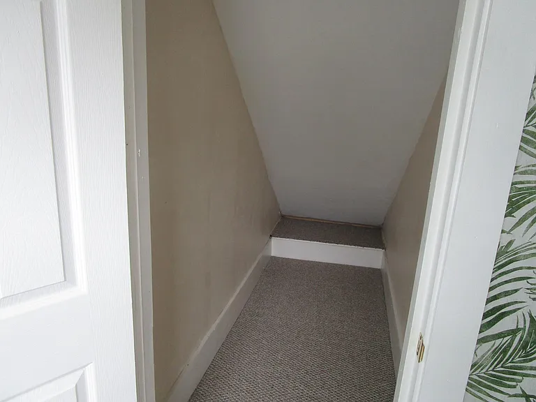 216 Irving St #5 — Photo 6
