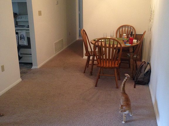 4th image of 12400 Foxridge Ln APT E