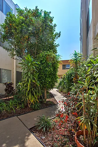 Beach Hill Apartments Photo 1