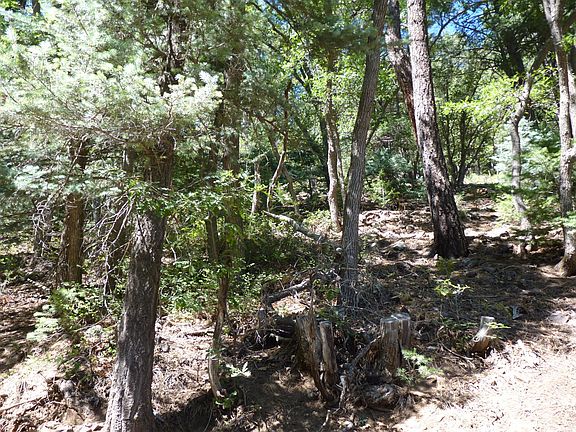 3rd image of 8032 S Lake Dr