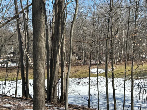 9570 Pere Marquette Dr #10, Stanwood, MI 49346