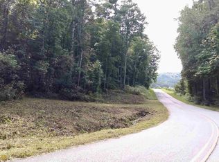 1755 Ritchie Creek Rd, Blue Ridge, GA 30513