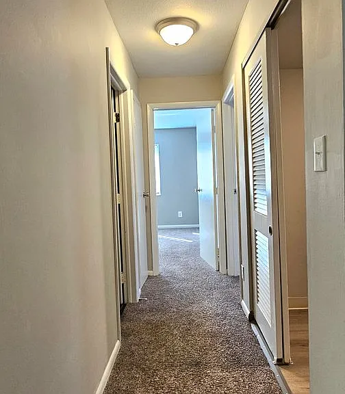 Spacious 2 bedroom 2 bath apartments in Harrison Township! — Photo 3