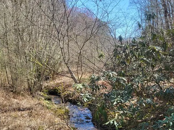 TRACT 2 Mull Rd, Blairsville, GA 30512