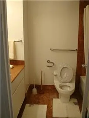 Rented by Furumoto Realty of New York City Inc | media 18