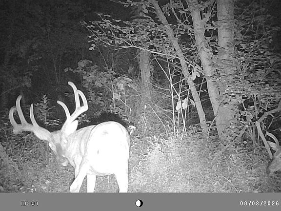 3rd image of 1575 Fair City Rd