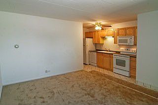 Kitchen / Living Room