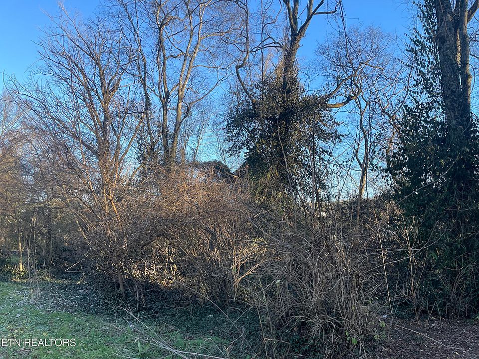 2nd image of 1004 Leconte Rd