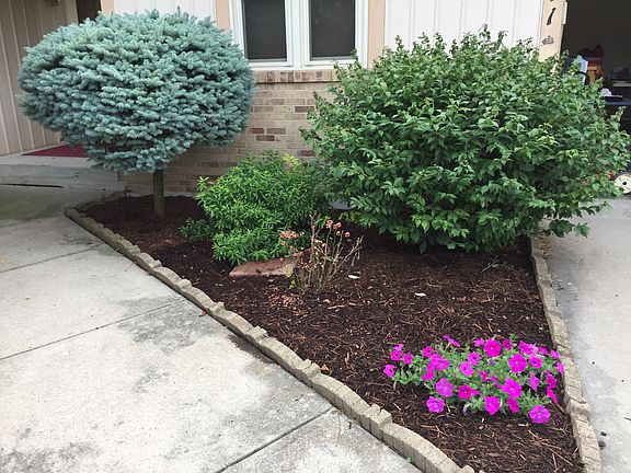 Walkway to front door
