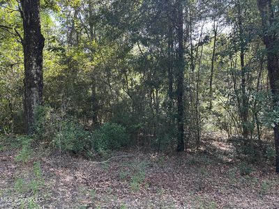 Lazy B Rd, Lumberton, MS, 39455