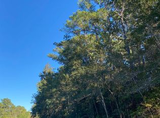 905 Tbd Hwy, Conway, SC 29526