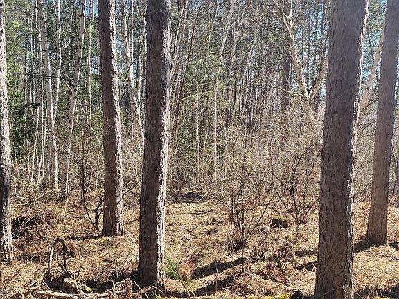 2nd image of On Hunter Lake Rd