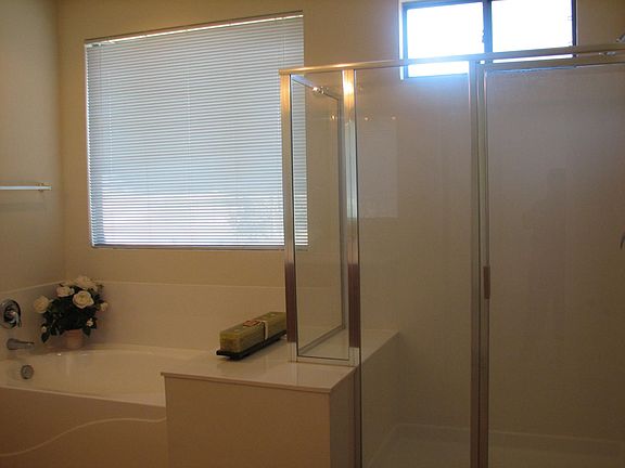 master bath - sep tub/shower