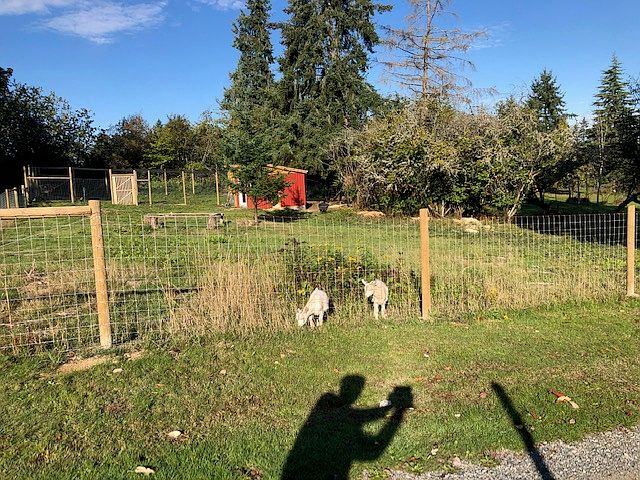 2nd image of 9703 SW 264th St