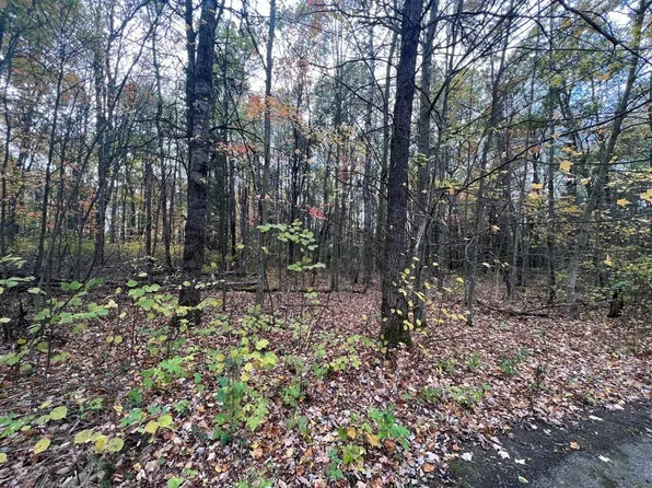 Elise Ln, Houghton Lake, MI 48629
