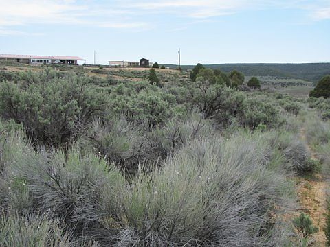 4th image of 4184 South Harmon Circle