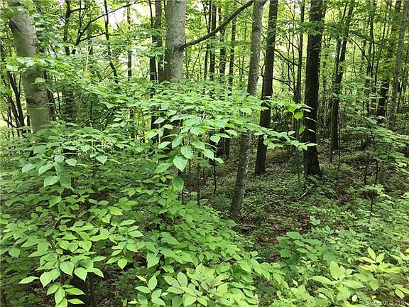 3rd image of 24 Great Aspen Way