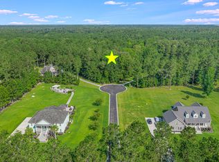 105 Thistle Ct, Ridgeville, SC 29472