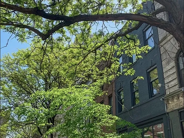 40-42 E 3rd St #9 — Photo 15