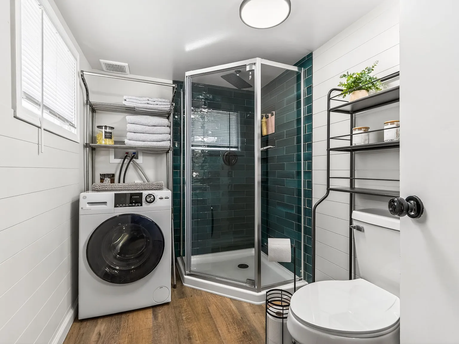 1 bed, 800 sqft, $1,250 — Photo 4