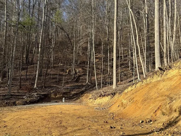 890 Fisher Branch Rd, Marshall, NC 28753