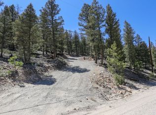 1963 Redhill Rd, Fairplay, CO 80440