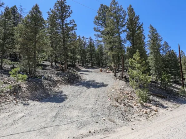 1963 Redhill Rd, Fairplay, CO 80440