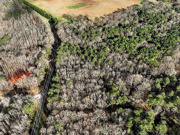 4th image of 155 Aikenton Rd