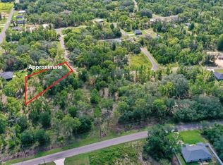 24 Guava Pass Dr, Ocklawaha, FL 32179