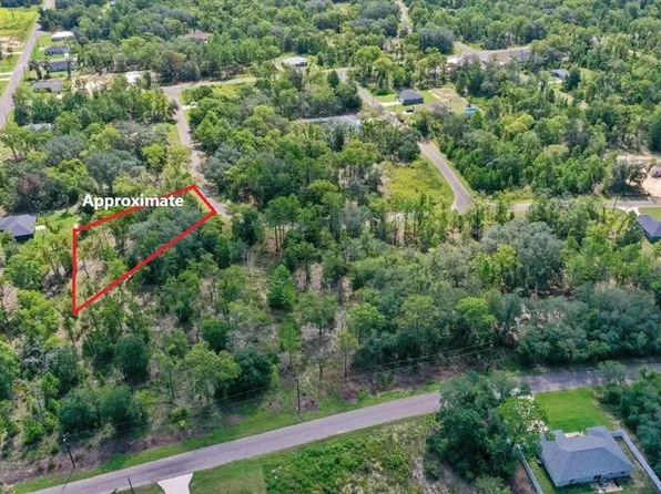 0024 GUAVA PASS DRIVE, OCKLAWAHA, FL 32179