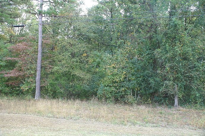 2nd image of 1060 Twin Pines Cir