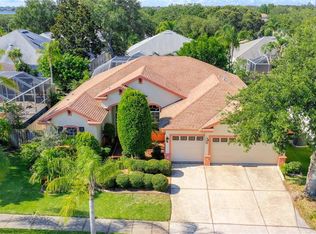 1184 Sawgrass Dr, Tarpon Springs, FL 34689