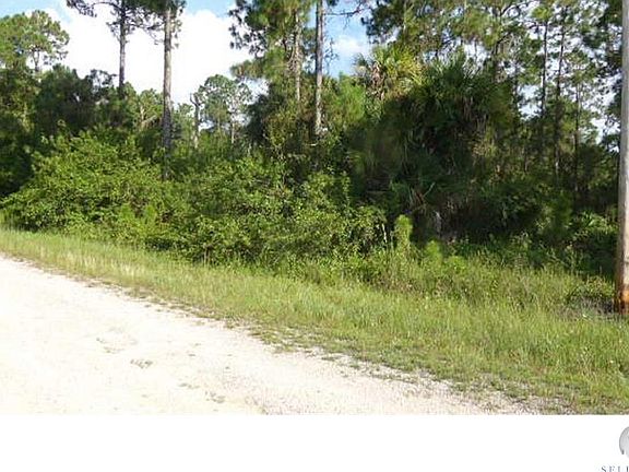 3rd image of 1042 Pine Cove Dr