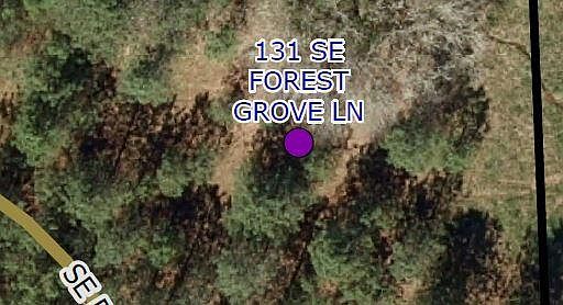 2nd image of 131 Forest Ln