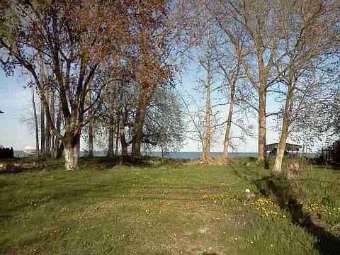 1st image of 38946 Lakeshore Dr