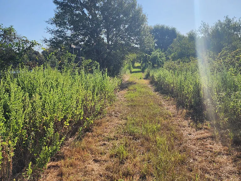 County Road 3590 — Photo 35