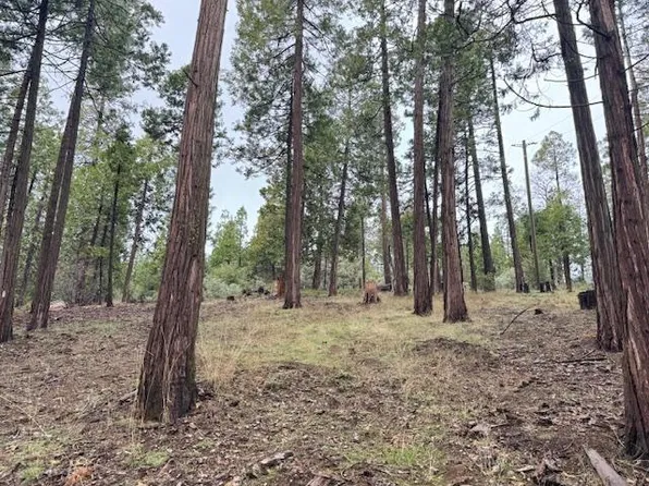 41880 Chipmunk Ln, Auberry, CA 93602