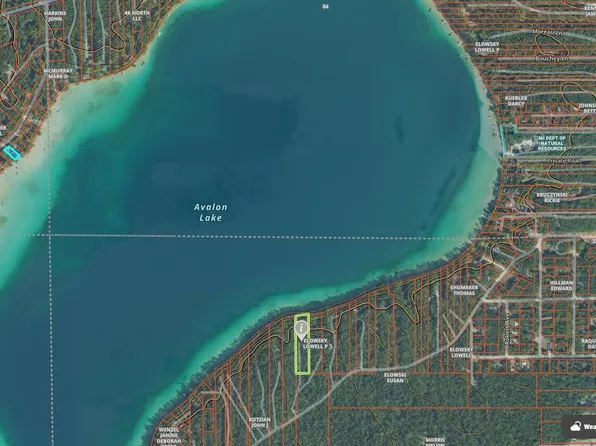 17690 Avalon Dr, Hillman, MI 49746