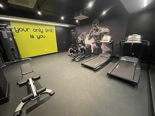 Rented by Tapiro Realty | media 11