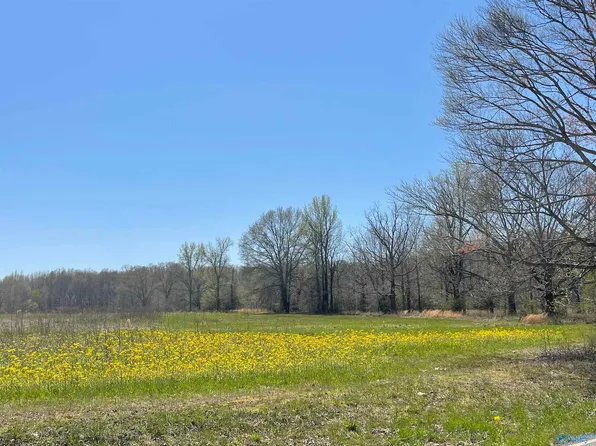 1 Phillips Rd Tract 1, New Market, AL 35761