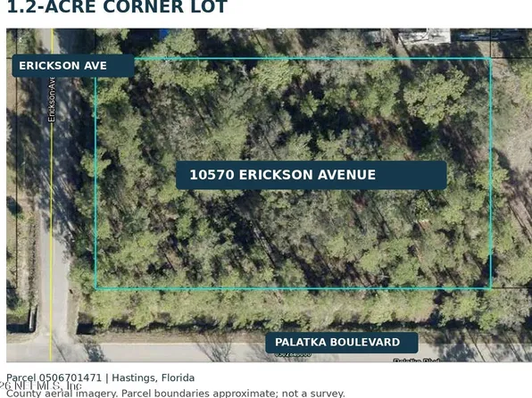 10570 ERICKSON Avenue, Hastings, FL 32145