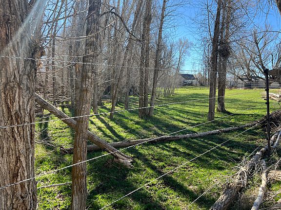 North Pasture View - Mowed by horses